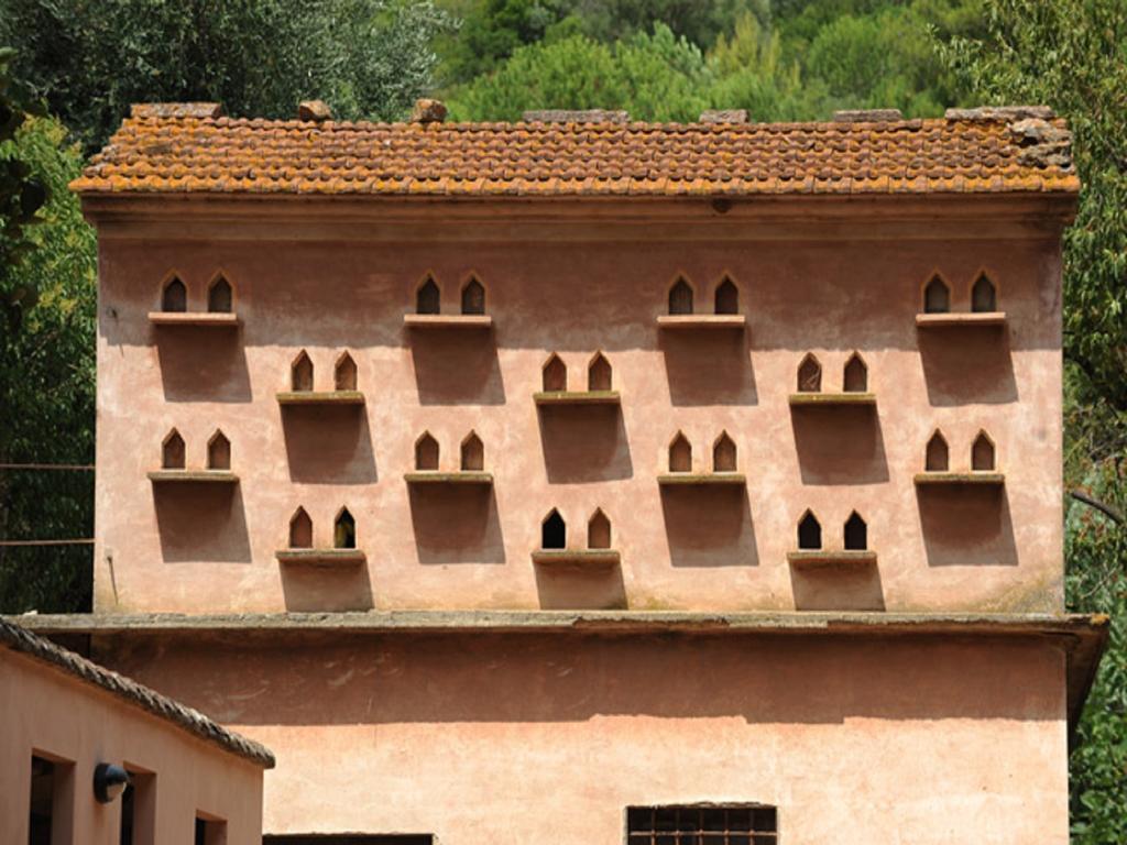 Villa Boldrini B&B Venturina Terme Εξωτερικό φωτογραφία
