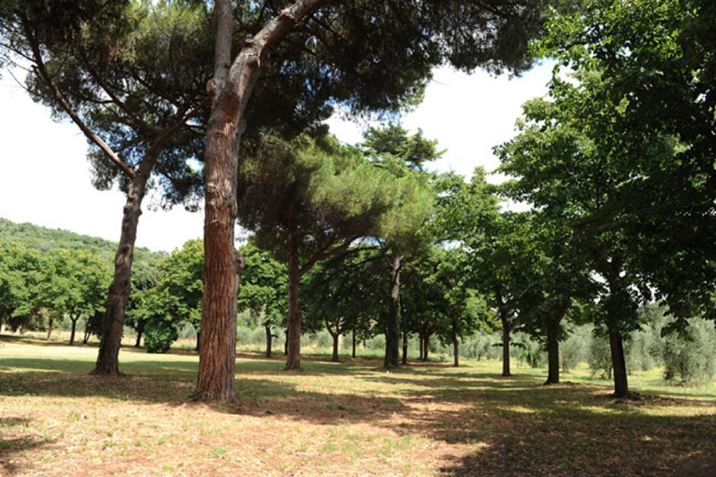 Villa Boldrini B&B Venturina Terme Εξωτερικό φωτογραφία